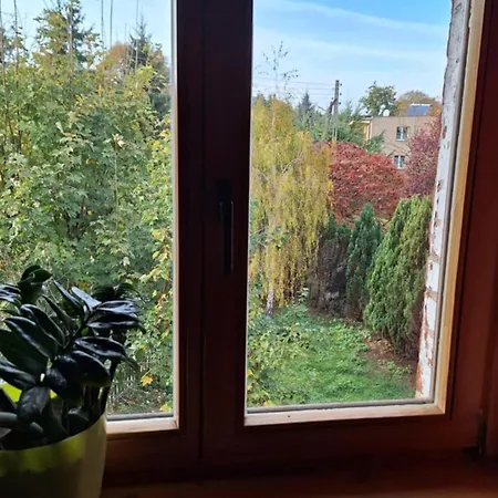 招待所 Stara Szkola *