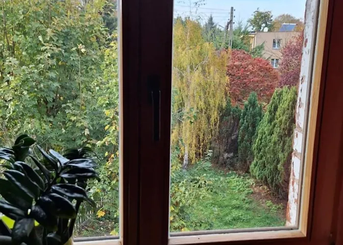 Affittacamere Stara Szkola *